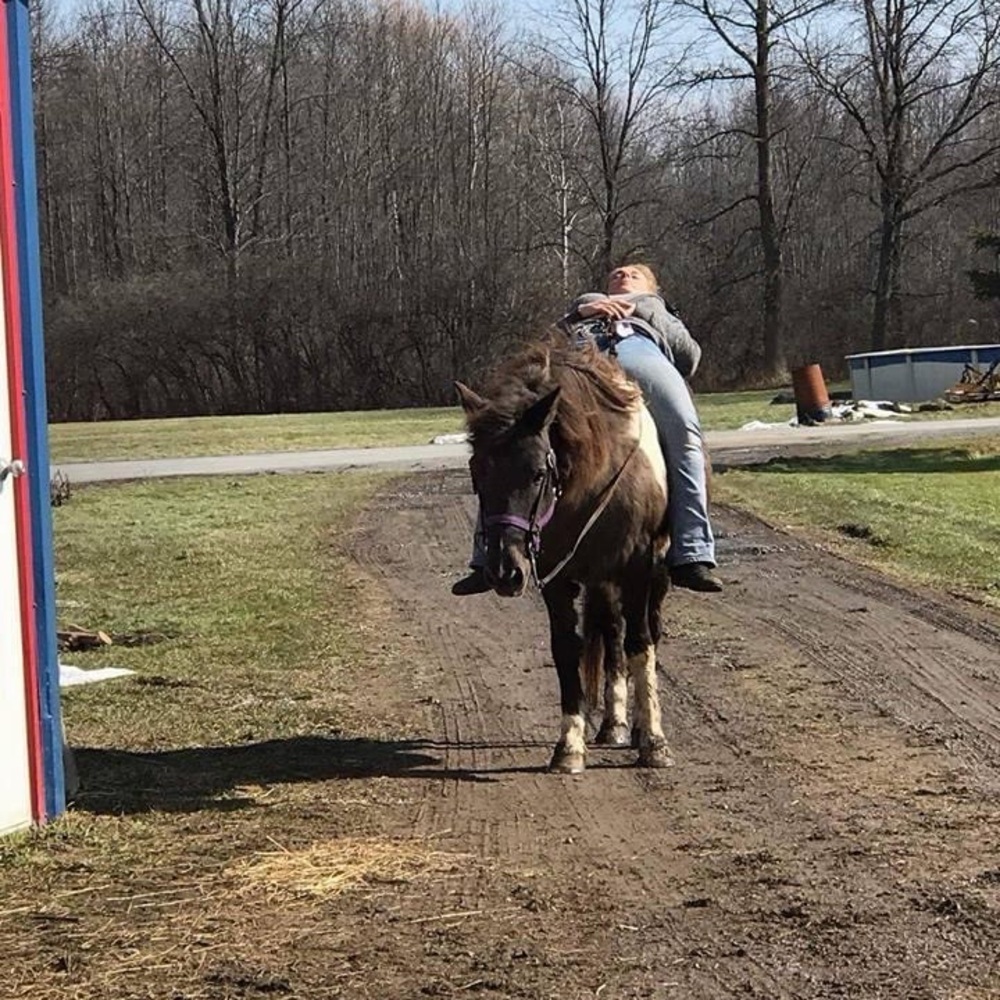 NOW Share Show!!! - Picture 11 of 15